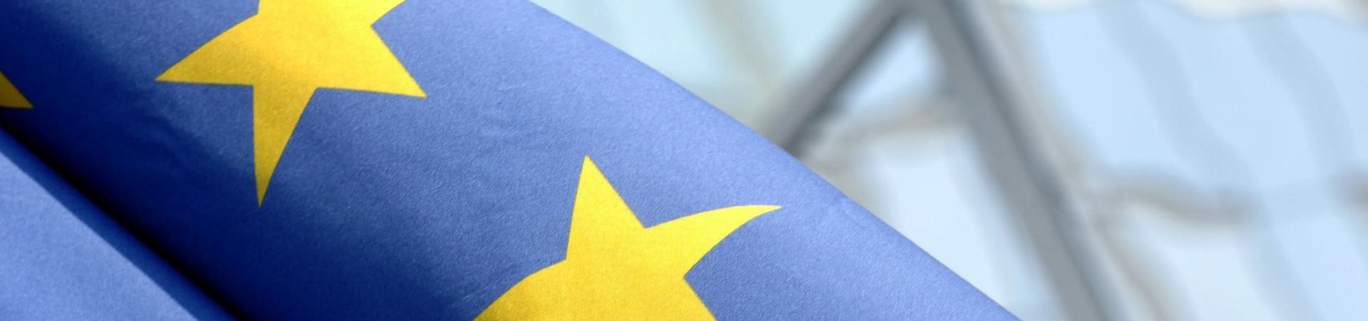 European flag