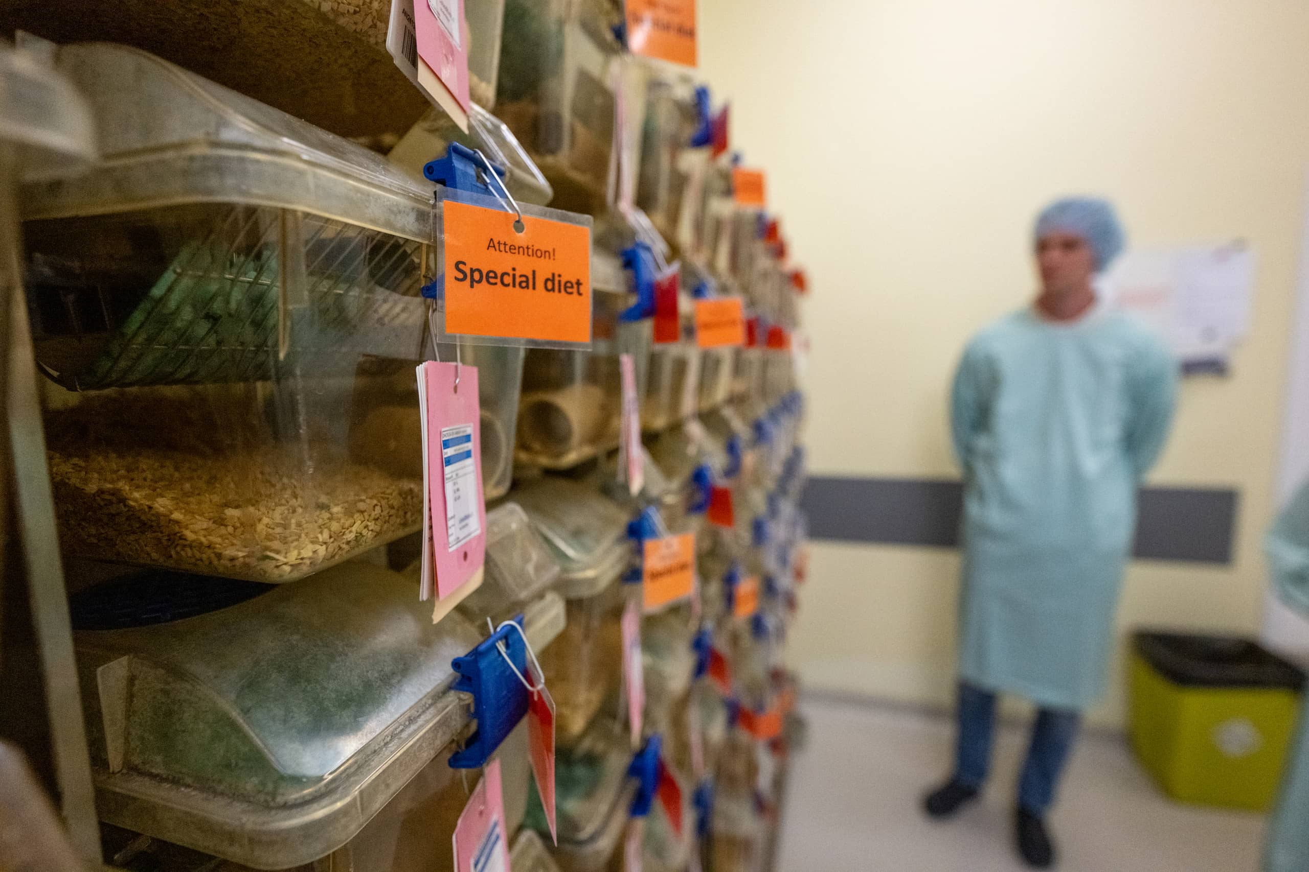 Housing of mice in the LUMC Animal Research Center