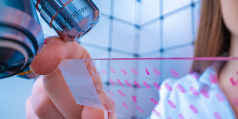 microscope with testline
